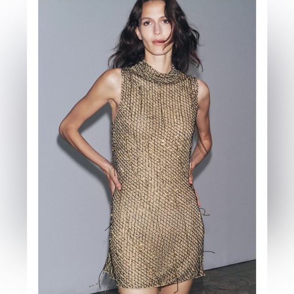Zara Embroidered Beaded Mini Dress - Picture 2 of 11